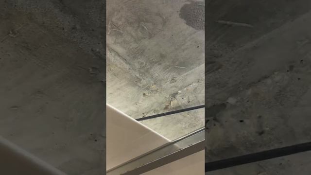 Потолок наборной по типу армстронг смотреть онлайн