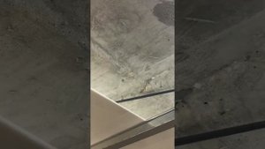 Потолок наборной по типу армстронг