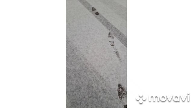 Октябрьские зарисовки