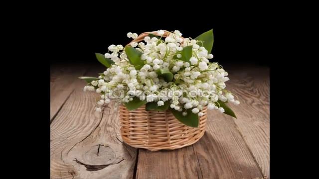 Букеты ландышей часть   3 смотреть онлайн