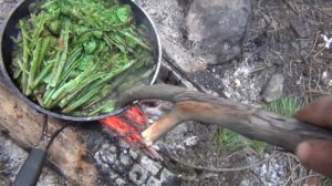 Папоротник рецепт в тайге как приготовить  Папоротник страусник папоротник орляк вкусный