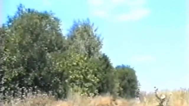 Сектор Газа — Сказка (полная версия)