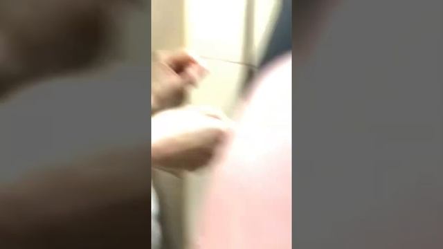 Купание морской свинки скинни (с шампунем) Часть 2 смотреть онлайн