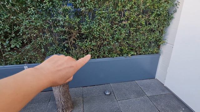 Дача в Германии 🇩🇪/построили домик🏕 свами руками/Самый бюджетный смотреть онлайн