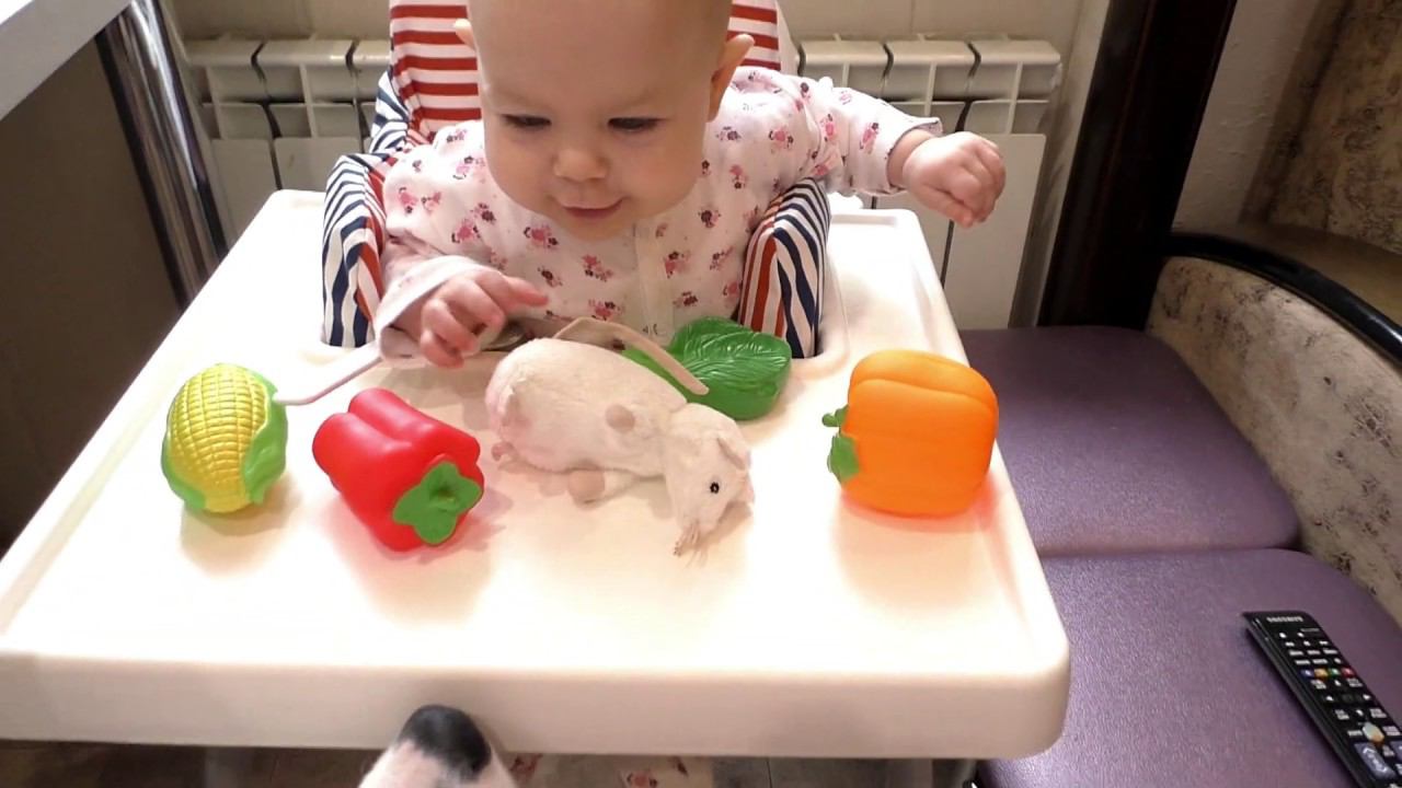 VLOG Главное то оно ведь, что - водно-питьевой баланс