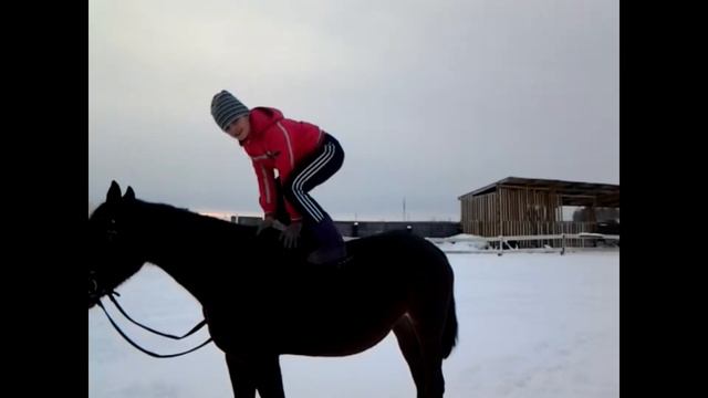 ВЫЗОВ ПРИНЯТ!!! конная версия, часть 3 смотреть онлайн