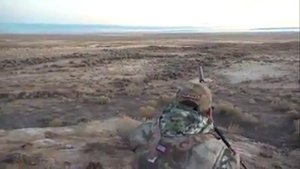 Охота на валков профессионального