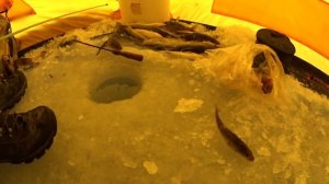 НАВАГА!Ловим навагу на блесну!Вот это монстры!Владивосток!