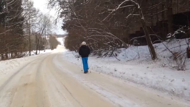 Привычки счастливого человека. Скандинавская ходьба