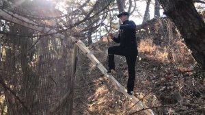 Процесс демонтажа колючей проволоки #32