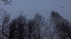 Ночные фото на Nikon d7000 | #2