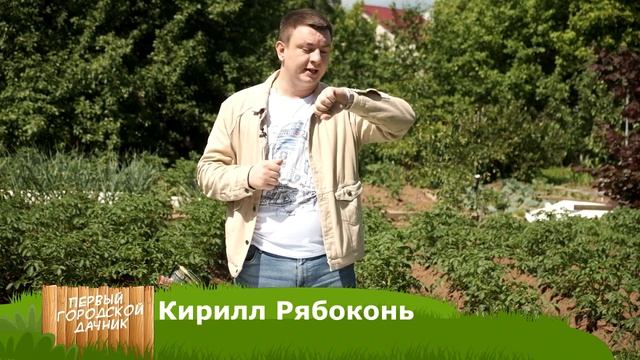 На каком канале первый городской телеканал киров мтс