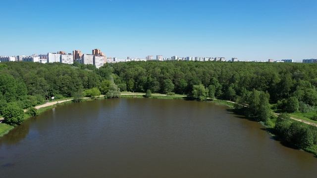 Лебедянский пруд. Измайловский парк Лебедянский пруд рыбалка. Лебедянский пруд в Измайлово с высоты. Лебедянский пруд Измайлово ночью. Лебедянский пруд в Измайлово 1974.