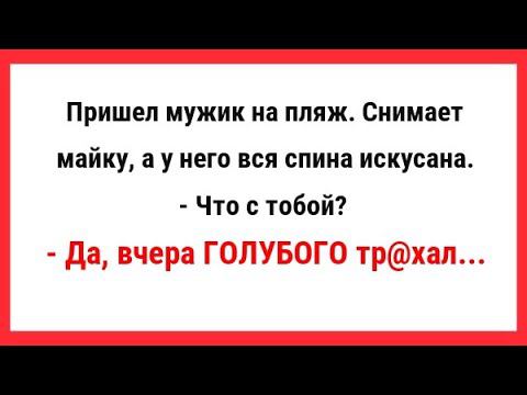 Смешные, Свежие и Новые Анекдоты. Анекдоты для Настроения.