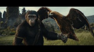 Королевство планеты обезьян