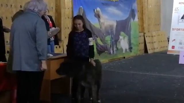 Лакки липецк смотреть онлайн