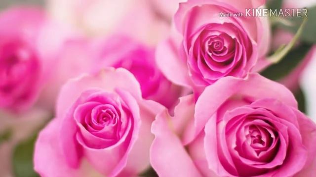 С годовщиной свадьбы! смотреть онлайн