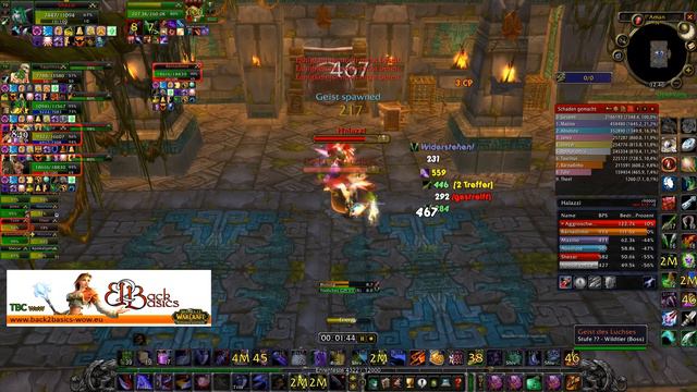 Back2Basics | Zul'Aman | Halazzi | 2.4.3 Burning Crusade TBC 10 Man Raid B2B Private Server WoW смотреть онлайн