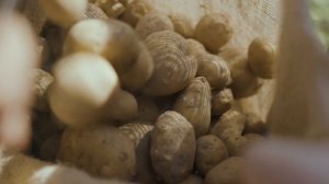 родной вкус_англ