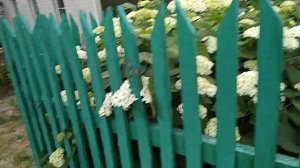 Полисадник может быть разный. 1часть