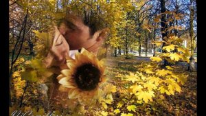 Сегодня День рождения твой! Автор Серафима Марченко