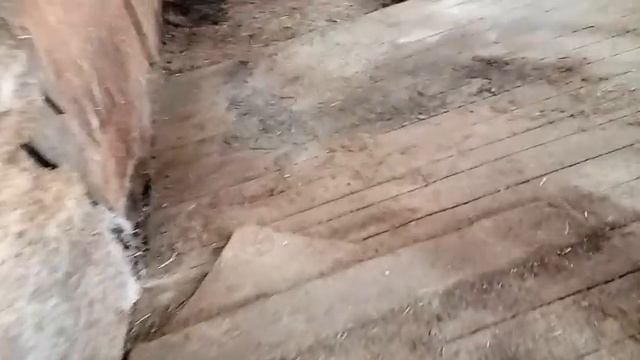 Обзор,пол в сарае,Планы