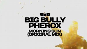 Big Bully & Pherox - Morning Sun (Original Mix) | DARK SIDE OF THE LENS | rework: PROfan