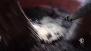 ЮККА. ЖЕЛТЕЮТ ЛИСТЬЯ.  КАК ПОМОЧЬ РАСТЕНИЮ!?