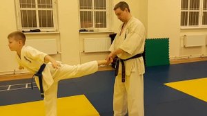 Техника 7-кю.  Отработка удара уширо-гери