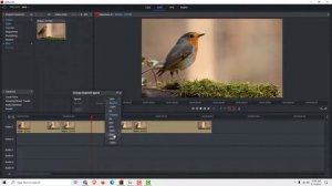 Lightworks Tutorial: How to Speed Up Video in Lightworks