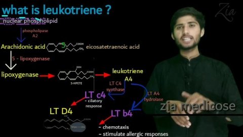 montiget 10mg tablet uses | montiget tablet uses in urdu | montiget montelukast sodium | montiget