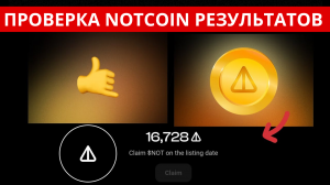 NOTCOIN ОФИЦИАЛЬНО РАЗДАЛ НАГРАДЫ. КАК УЗНАТЬ БАЛАНС NOTCOIN