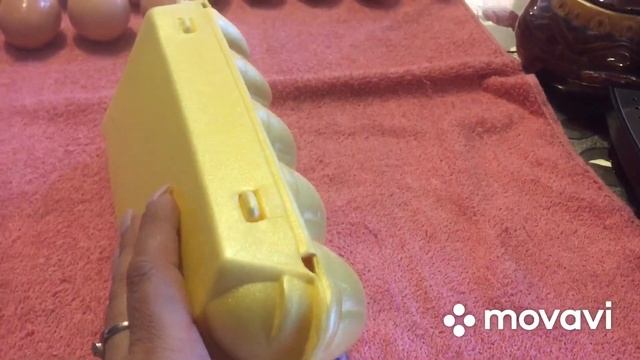 Закладываем Яйцо На Инкубацию Курочек смотреть онлайн