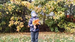 И.Токмакова "Сентябрь"