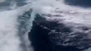 Касатки преследуют лодку