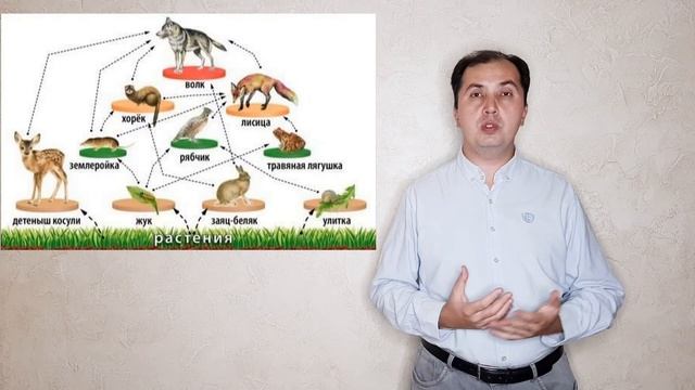 Ботаника 01 Общая характеристика Царства растений