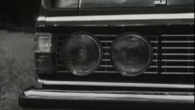 ИНТЕРЕСНЫЕ ФАКТЫ О ЧАЙКЕ смотреть онлайн