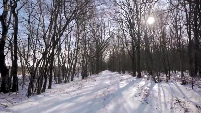 Сделала соседке замечание и теперь мешками выгребаю рекламный мусор из почтового ящика смотреть онлайн