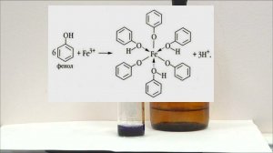 FeCl3 + фенол: фиолетовые чернила