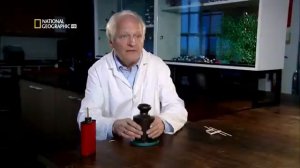 Чудеса инженерии - телескоп