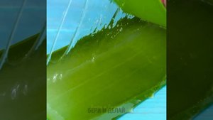 УДИВИТЕЛЬНЫЕ СПОСОБЫ ПРИМЕНЕНИЯ АЛОЭ ВЕРА И СЕКРЕТЫ ЕСТЕСТВЕННОЙ КРАСОТЫ