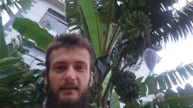 BANANA | КИТАЙ. MILE смотреть онлайн