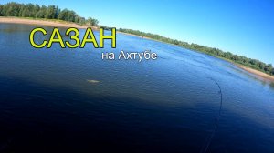 Ловля сазана на жмых
