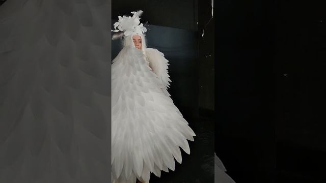 Гибкие Крылья, размер более 2,5 м.в размахе. смотреть онлайн