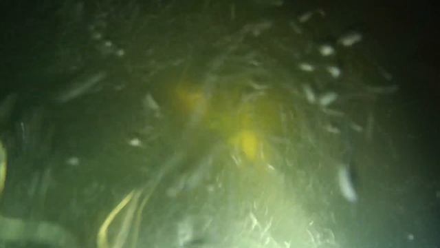 Подводная охота в непогоду 7.03.2022 год. смотреть онлайн