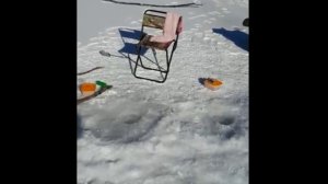 Рыбалка глухозимье, ловля ленка Приморский край, река Извилинка