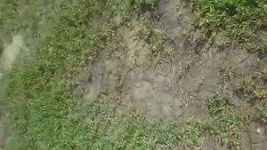 Обзор IRBIS TTR 110