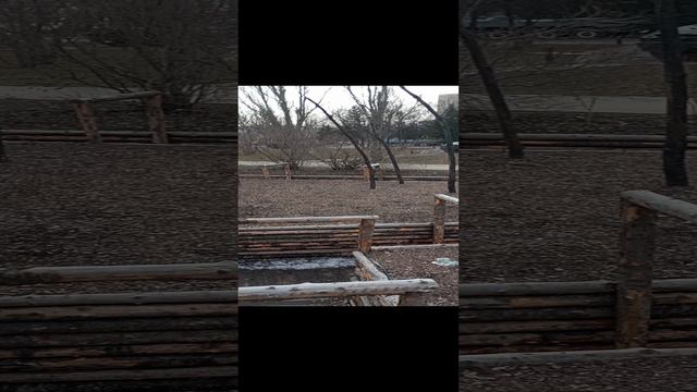Парк Победы имени Георгия Константиновича Жукова.  Кемерово. Апрель 2024