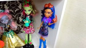 Обзор на мою коллекция кукол собраную за 2023  год? Monster High/Winx/Shadow High