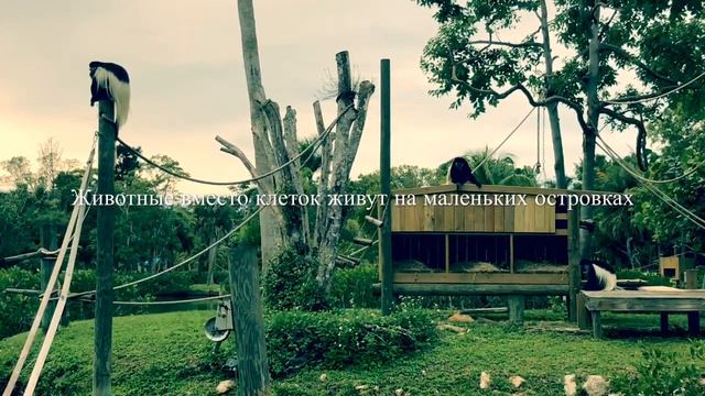 BEAUTIFUL FLORIDA 2018 КРАСОТЫ  ФЛОРИДЫ смотреть онлайн